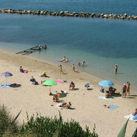 Amanda's * タラント